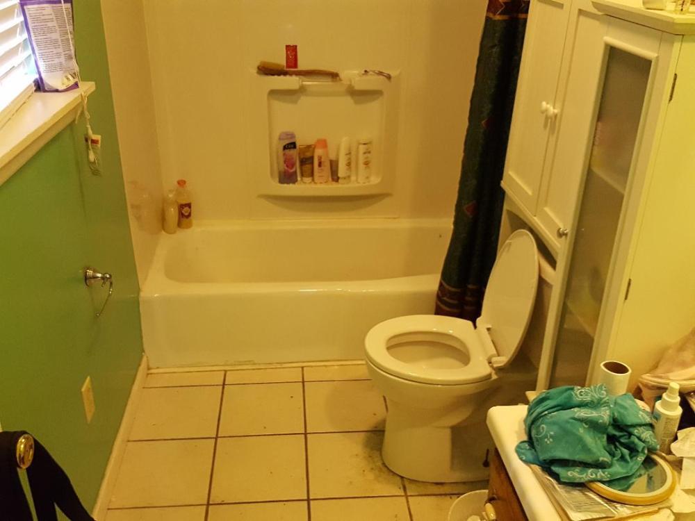 Before - Walk-in Bathtub