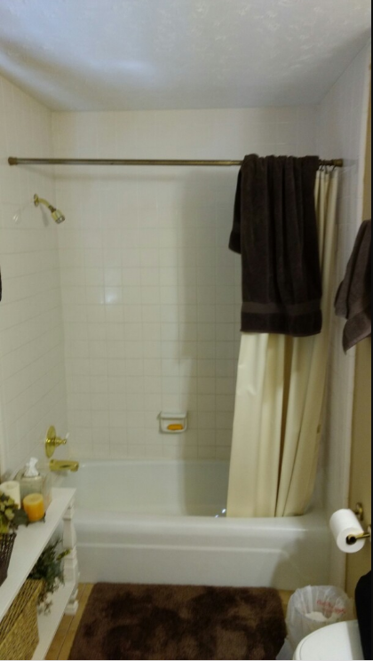 Tub/Shower converted to walk in shower in Dothan, Al