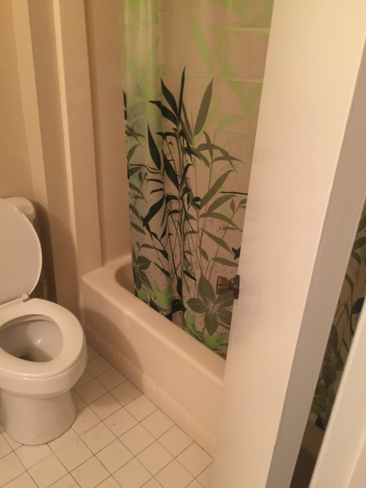 Tub/Shower Converted to walk in Shower in Dothan, Al