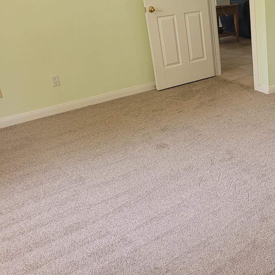 A room showcasing a plush carpeted floor and a door, contributing to a welcoming and comfortable environment.