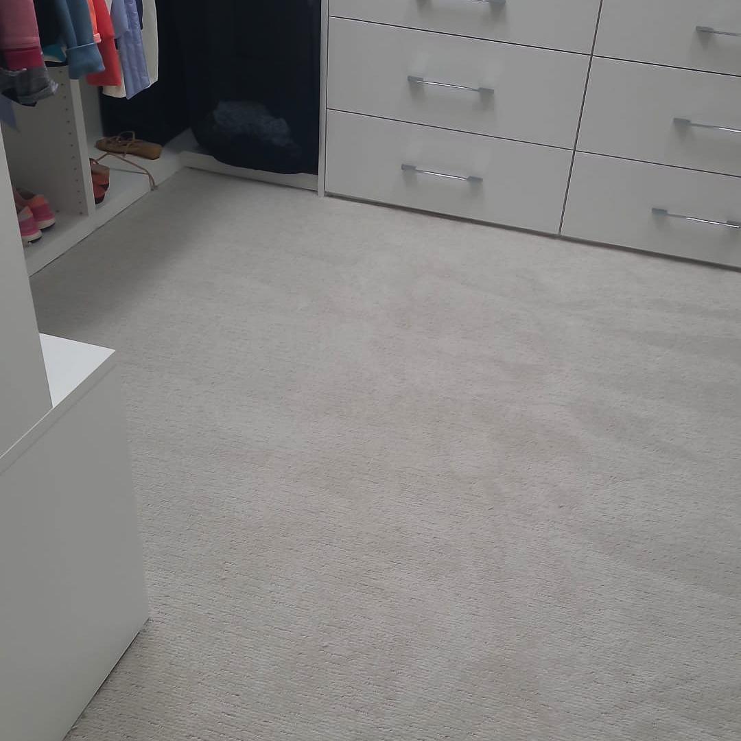 A white closet and dresser on plush carpet flooring, offering a clean and stylish storage solution.