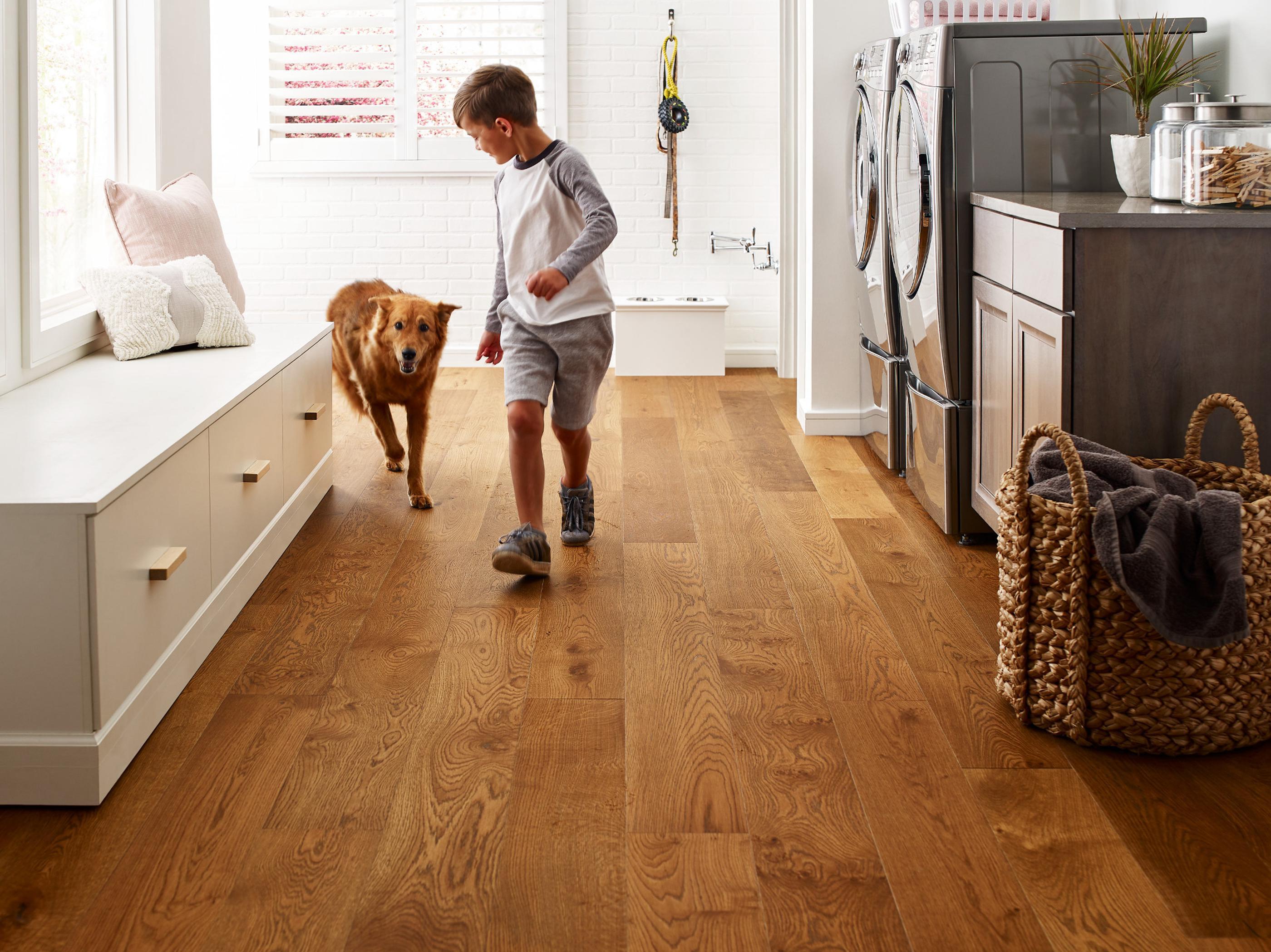 Young boy and dog walking through a laundry room