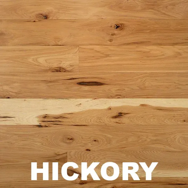 Hickory Type